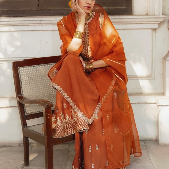 Punjabi Pakistani Gorgeous Rust Outfit: Three-Piece Set! - Picture 5 of 6
